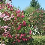 Marlis Gostinjska kuća 3*