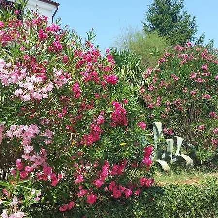 Marlis Maison d'hôtes 3*