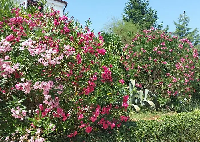 Marlis Guest house 3*